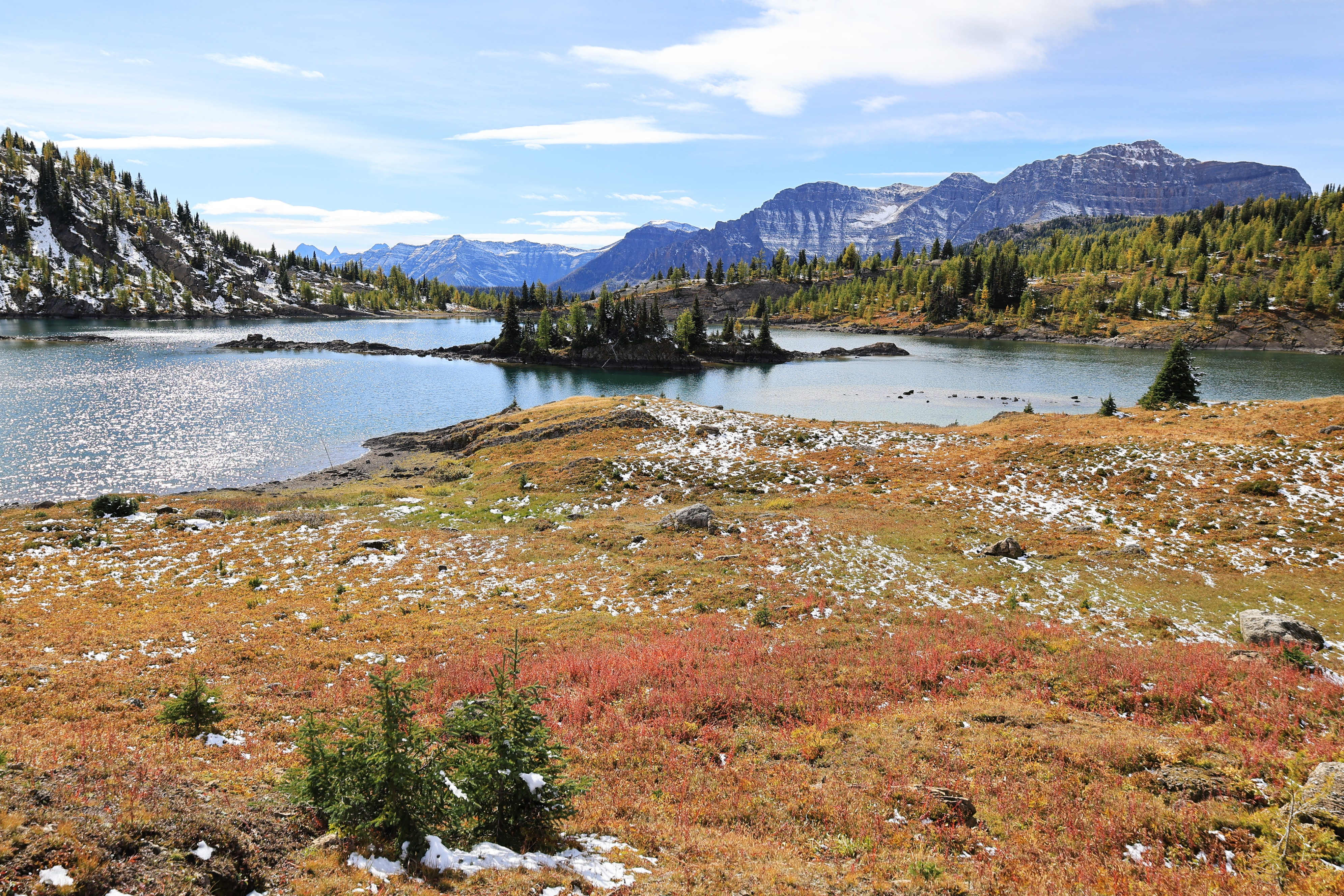 Sunshine Meadows